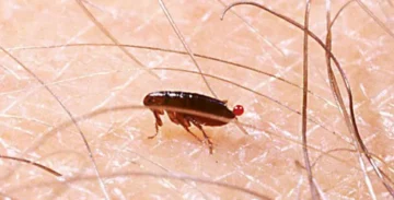 13400701391567006600 1