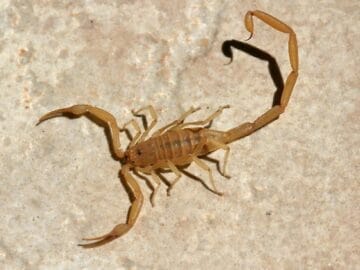 5ZLL6ZRLAZXHZR2HHREHRRGHEZKL1ZNHHRXLLR5HTH8HVHIHAHKL8ZXHTH7HFH6HJHWHLR8LAZ4L6ZXH2ZZL5ZGH 1