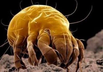 e6888e759515816e86a124adecc57f41 1