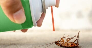 CureAll The methods of cockroach control 02 1