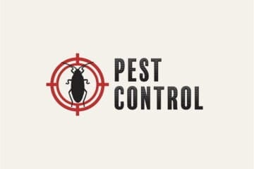 The Basics of Pest Control 1