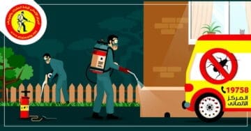 elalmany story 1