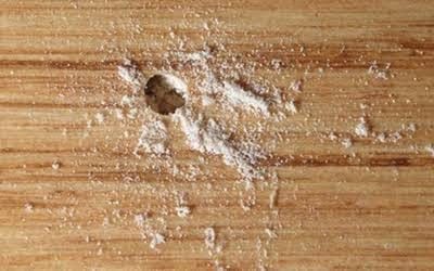 كيفية التخلص من سوس الخشب