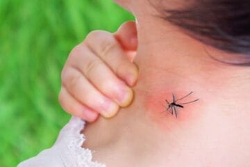 blog 1 1