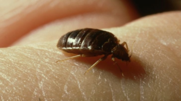 b6a514dd 267b 49db bf6b 68ffa87b006b 1000x557 1