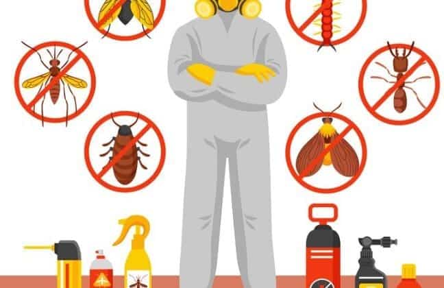 افضل شركة مكافحة حشرات