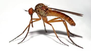 3c2d0027 1033 4cb8 aa88 59fa587ae638