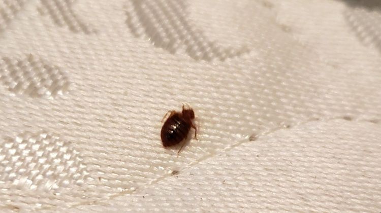 6b10e7a427a5cc9bdbf106b0c4f10e4b