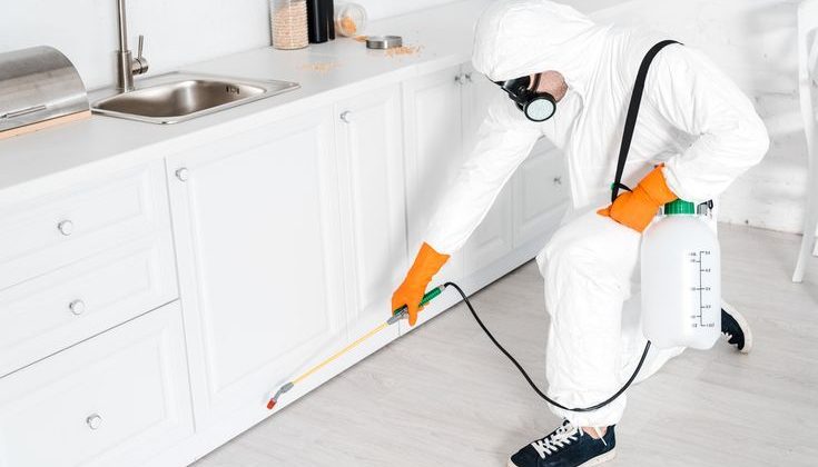 8353ce007c652fa17aa1d13b4797c976