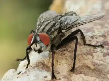 9dd15d3b bbc8 49a3 90a3 ed92ad2f5e4f