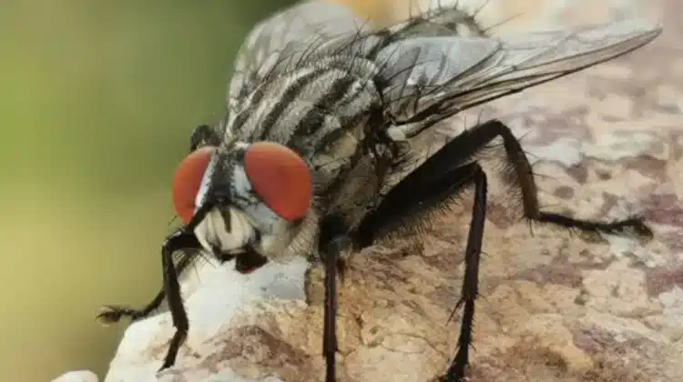 9dd15d3b bbc8 49a3 90a3 ed92ad2f5e4f