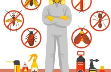 شركة مكافحة البيوت بجدة 648x420 1