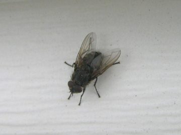 22aa9c1f4c99222158885d7b74a577ae