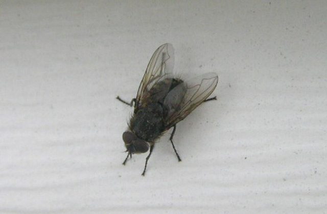 22aa9c1f4c99222158885d7b74a577ae