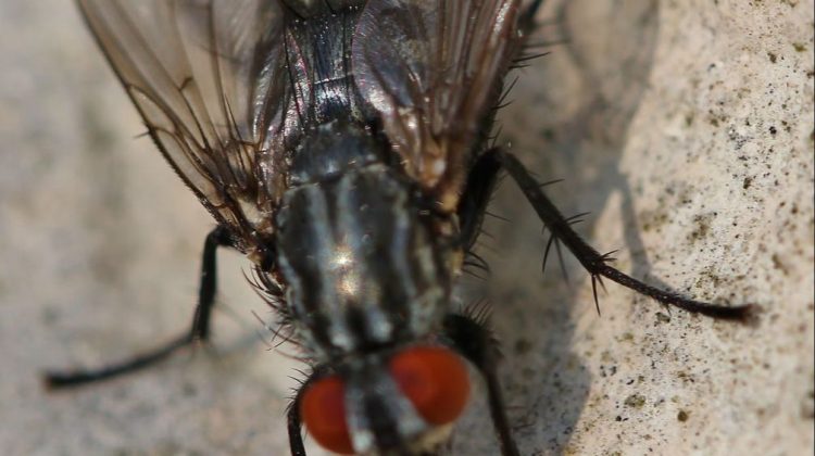 26fe7694fffba949573fb9ce99d01359