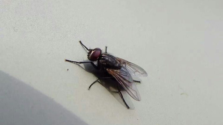 5359ccfa1499206e363f04e38e9e36b1