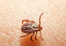 58c7a3f9849eb7ce6a65a62a29506b61