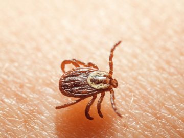 58c7a3f9849eb7ce6a65a62a29506b61