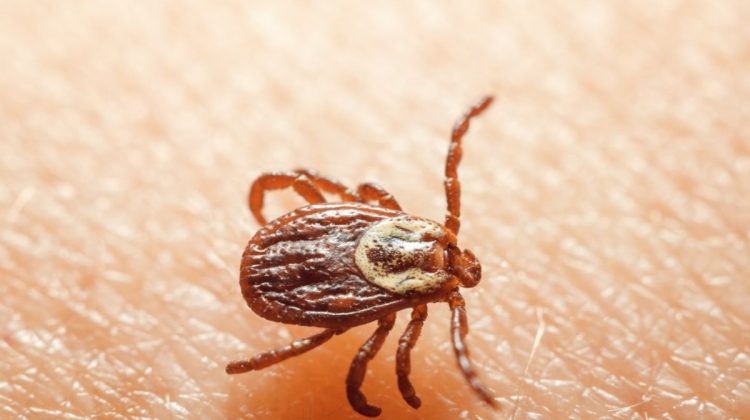 58c7a3f9849eb7ce6a65a62a29506b61