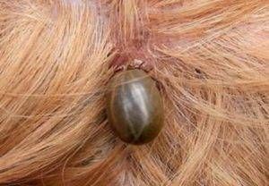 7a3697a8a7ba7f33679a8fd58de2cfa2