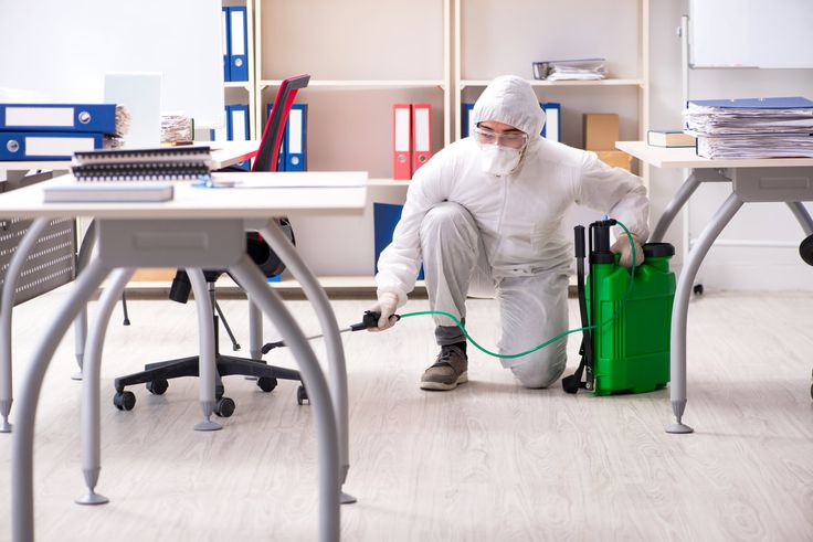 Pest control service in Nilgiris