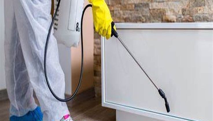 طرق الوقاية من الحشرات من المركز الألماني لإبادة الحشرات 19 b53ca9ed744e6df41daa7a2806860e78