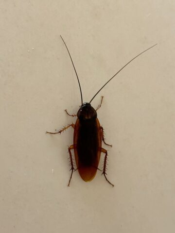 25f169e76851a253f4b374c37cc344ea