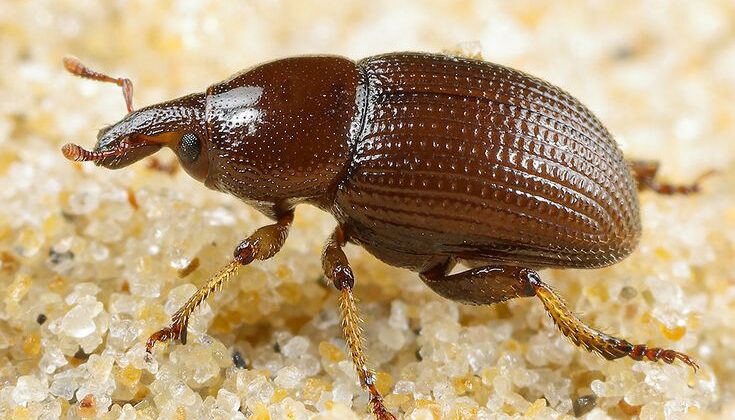 2e7cb35f37f395b309ed090b76ab0f24 1