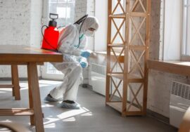 752e51e835848c842f00e3eff34c0ebc