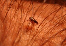 89818e4c1f184d56409b1b90d24906df