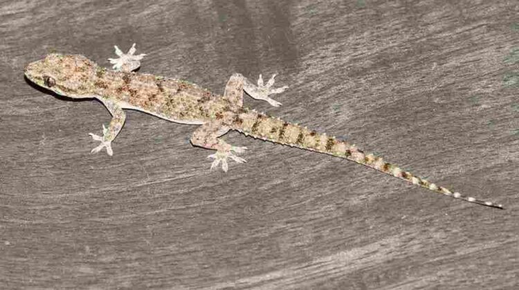 c9117707a594a89d68cad946a125e2f9