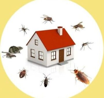 f3a4bf143730fed900bd2145b74c72e0