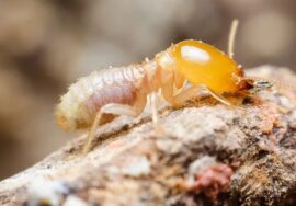 1d385c566c5dd3f6c0ba635549932193 2